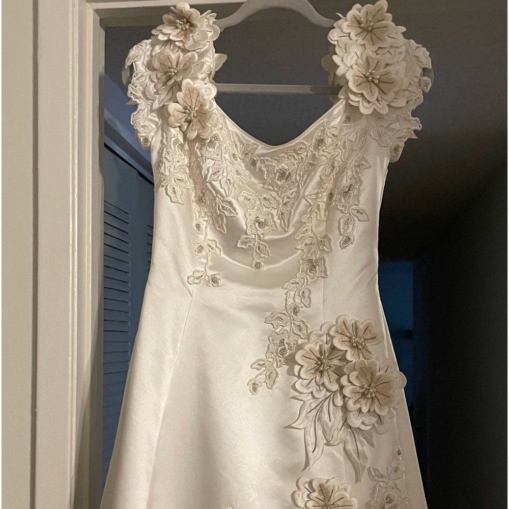Wedding Dress & Veil